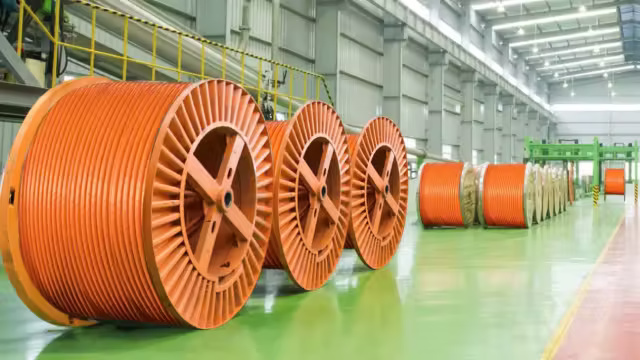 Dây cáp điện Việt Nam